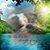 Debi Layman Fortner's profile image