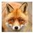 Jennifer Jesser's profile image