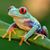Allane Saltonstall's profile image