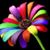 Chris Shahoud's profile image