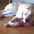 Jane Jackson's profile image