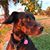 Brenda Percy Whitehurst's profile image