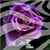 Anita Sokolowski's profile image