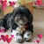 Angie Brown's profile image