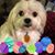 Pamela Cannon's profile image