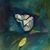 Chris Hurst's profile image