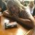 Stacey Lukaitis's profile image