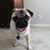 Linda Rogers's profile image