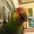 Jody Hughes's profile image