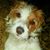 Loretta VanderVeer Eichenberg's profile image