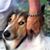 Tara Schmidt Berry's profile image