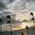 Mary Kay Panepinto Scholtes's profile image