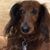 Janet Sebring's profile image