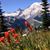 Maryann Boxberger's profile image