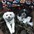 Laurie Helwig Wallace's profile image