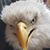 Janie Higgins's profile image