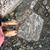 Melissa Gillespie Lindsey's profile image