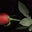 tanya corrigan's profile image