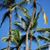 Heather Thomas Stepp's profile image