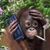 Sue Lake's profile image