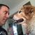 Jeff Whiteman's profile image