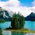 Liliya Tkach's profile image