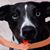 Mickey Nadeau Hogan's profile image