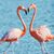 Karyn Lobley's profile image