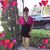 Nene Burgos's profile image