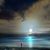 Diane O'Connor's profile image