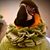 Bren Smith's profile image