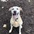 Tomaly Halldot's profile image