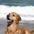 Fran Hurst's profile image