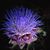 Cheryl Sawyer Andrea's profile image