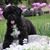 Ken Redden's profile image