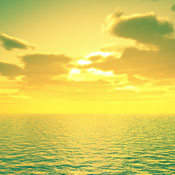 Hyacinth46 D.'s profile image