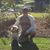 Brian Patke's profile image