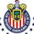 Chivas del Guadalajara's profile image