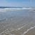 Dianne W. Stedman's profile image