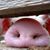 Kimberly June's profile image