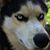 Malori Hardcastle's profile image