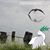 Sherry Ehredt's profile image