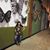 Rachel Henkel's profile image