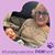Blanca Izquierdo's profile image