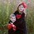 Stephanie Lindley's profile image