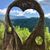 Cathy Bonwell's profile image
