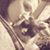 Dipstick Purr's profile image