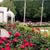 Fiza Valiulla's profile image