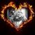Lorraine Mistyblu Jacques's profile image