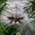 Janne O'Donnell's profile image